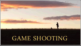 Game Shooting Kargarrie House